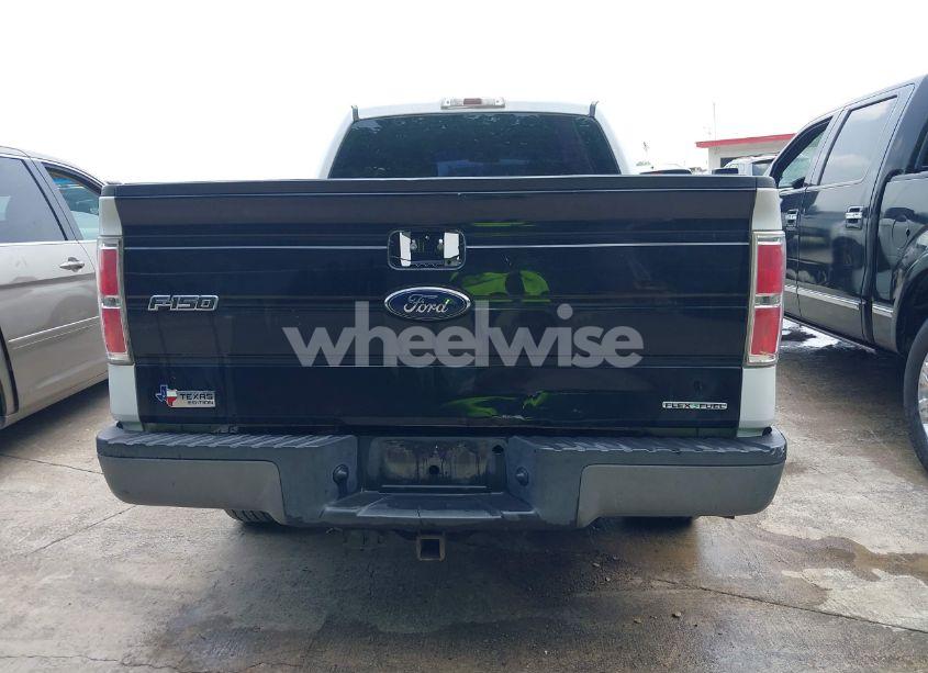 Photo 16 of 2009 Ford F-150 XL/XLT (VIN 1FTRW12W09FA42756)