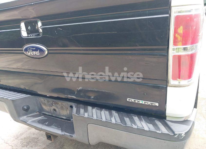 Photo 6 of 2009 Ford F-150 XL/XLT (VIN 1FTRW12W09FA42756)