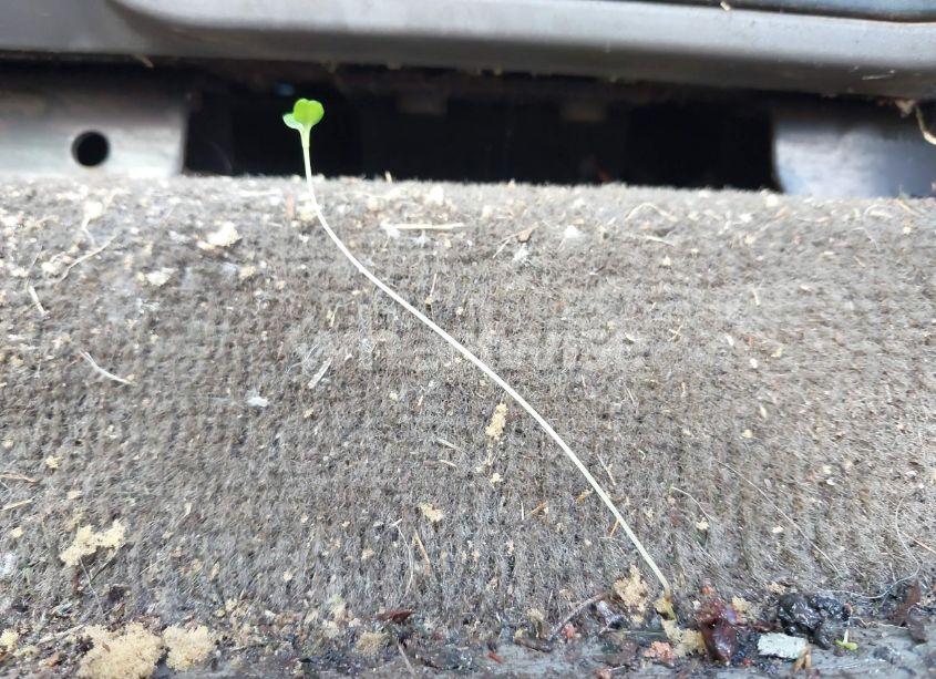 Photo 12 of 2005 Ford F-150 XLT (VIN 1FTRW12W25KB58736)