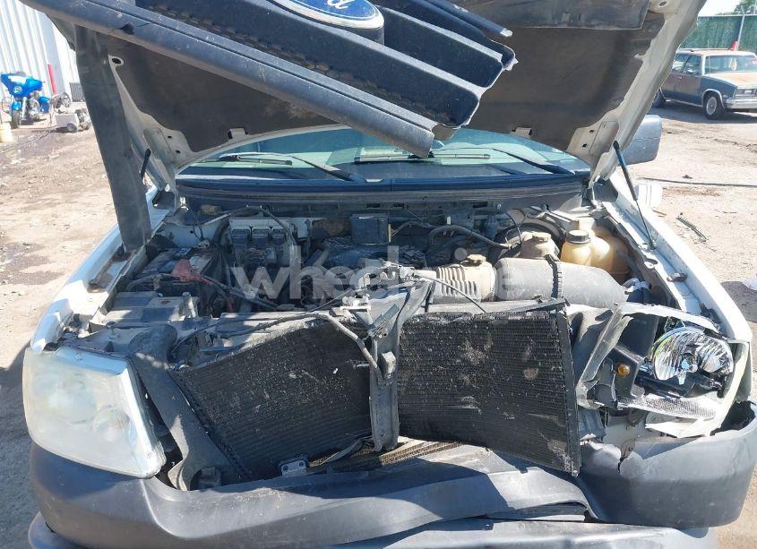 Photo 10 of 2008 Ford F-150 60TH ANNIVERSARY/FX2/XL/XLT (VIN 1FTRW12W28KC84034)