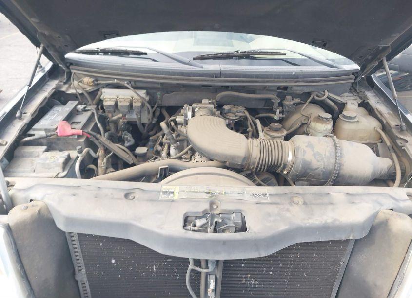 Photo 10 of 2004 Ford F-150 XLT (VIN 1FTRW12W34KB84650)