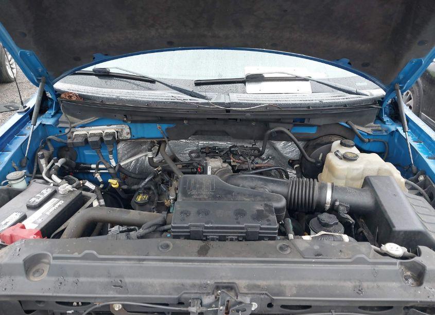 Photo 10 of 2009 Ford F-150 XL/XLT (VIN 1FTRW12W39FA11159)