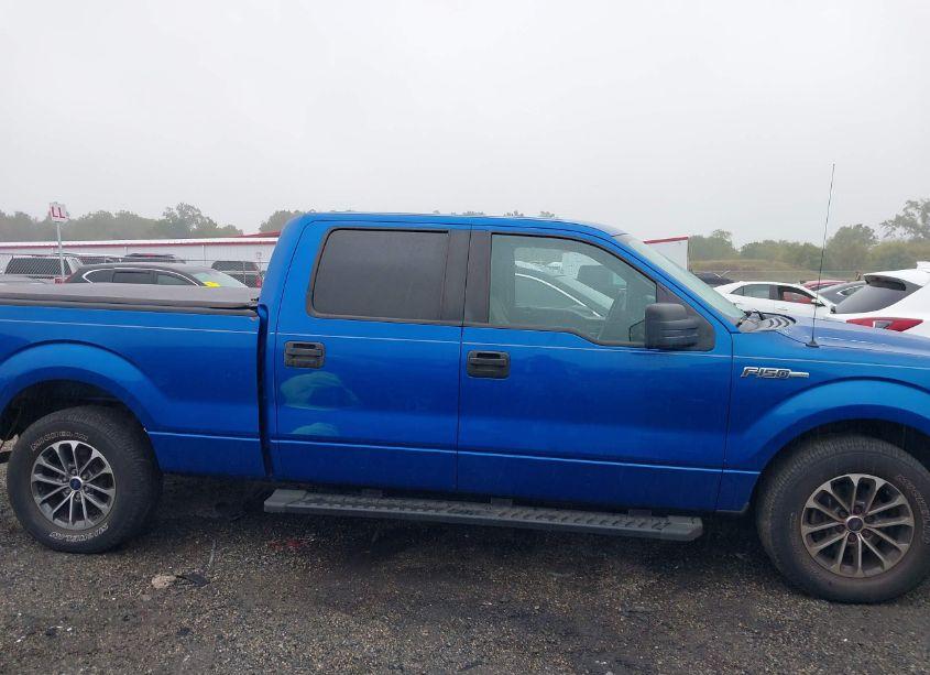 Photo 13 of 2009 Ford F-150 XL/XLT (VIN 1FTRW12W39FA11159)