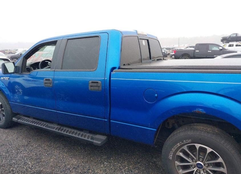 Photo 14 of 2009 Ford F-150 XL/XLT (VIN 1FTRW12W39FA11159)