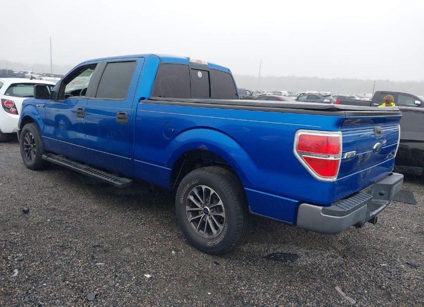 Photo 3 of 2009 Ford F-150 XL/XLT (VIN 1FTRW12W39FA11159)