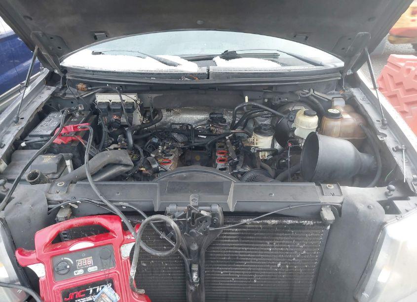 Photo 10 of 2008 Ford F-150 60TH ANNIVERSARY/FX2/XL/XLT (VIN 1FTRW12W48KD81705)