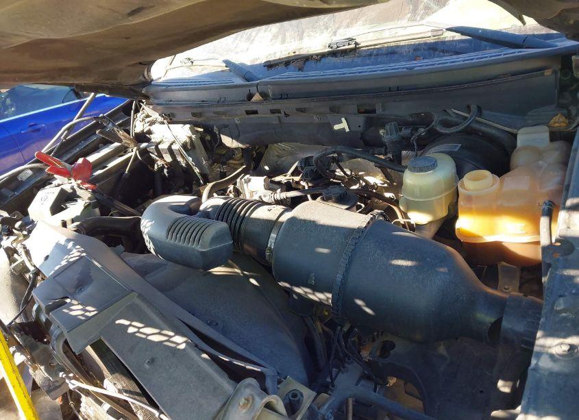 Photo 10 of 2008 Ford F-150 60TH ANNIVERSARY/FX2/XL/XLT (VIN 1FTRW12W68FB89730)