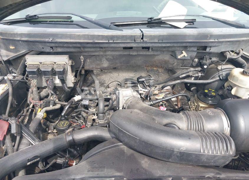 Photo 10 of 2008 Ford F-150 60TH ANNIVERSARY/FX2/XL/XLT (VIN 1FTRW12WX8KC75081)