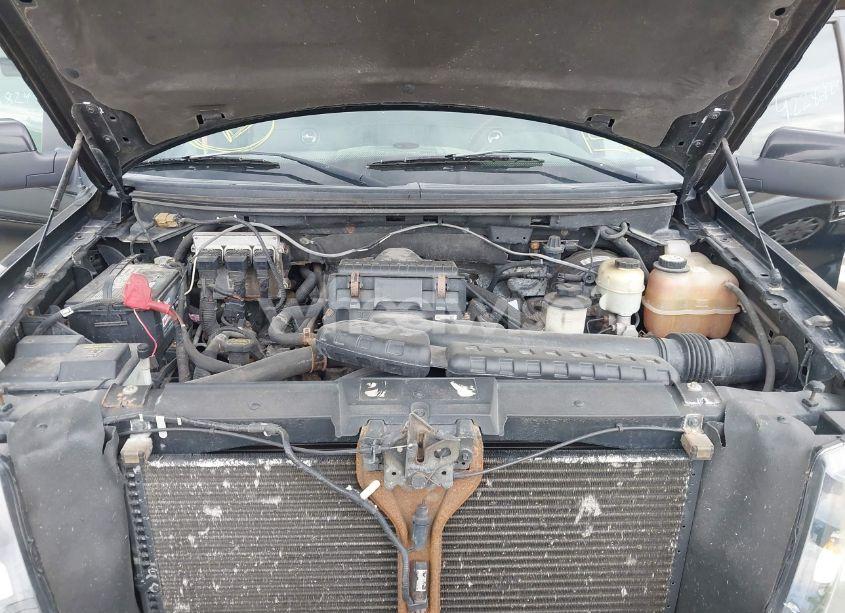 Photo 10 of 2008 Ford F-150 HARLEY-DAVIDSON/LIMITED (VIN 1FTRW14538FB37413)