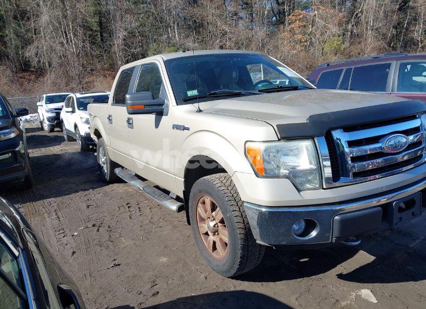2009 Ford F-150 XL/XLT (VIN 1FTRW14819FB36787) main photo