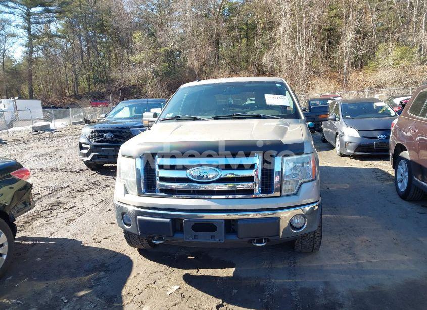 Photo 13 of 2009 Ford F-150 XL/XLT (VIN 1FTRW14819FB36787)