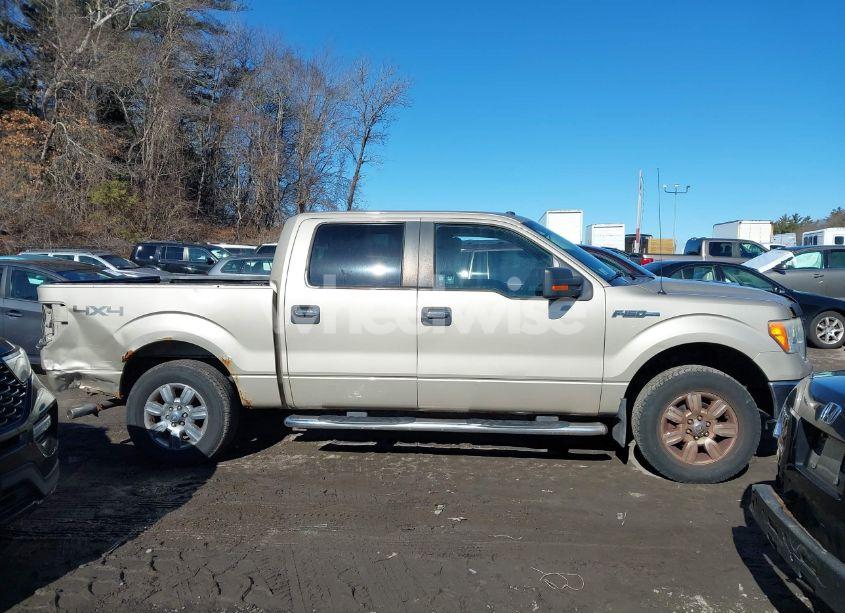 Photo 14 of 2009 Ford F-150 XL/XLT (VIN 1FTRW14819FB36787)