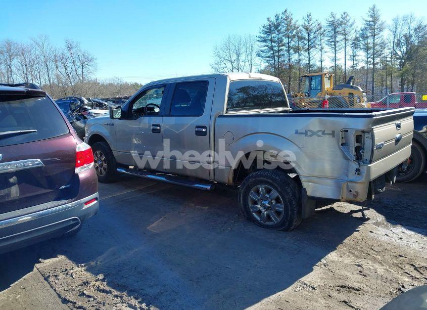 Photo 15 of 2009 Ford F-150 XL/XLT (VIN 1FTRW14819FB36787)