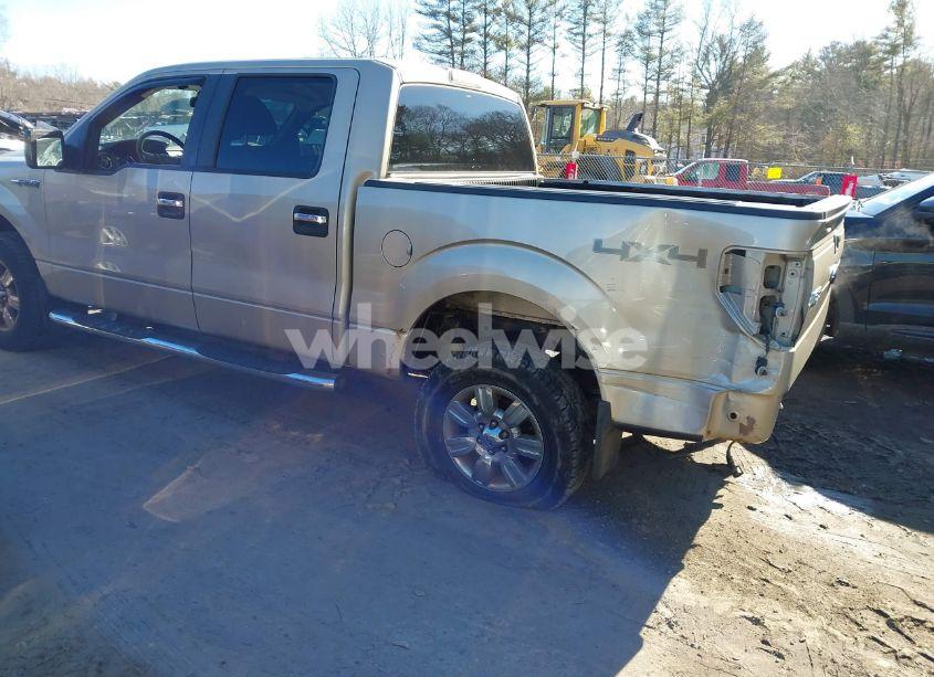 Photo 3 of 2009 Ford F-150 XL/XLT (VIN 1FTRW14819FB36787)