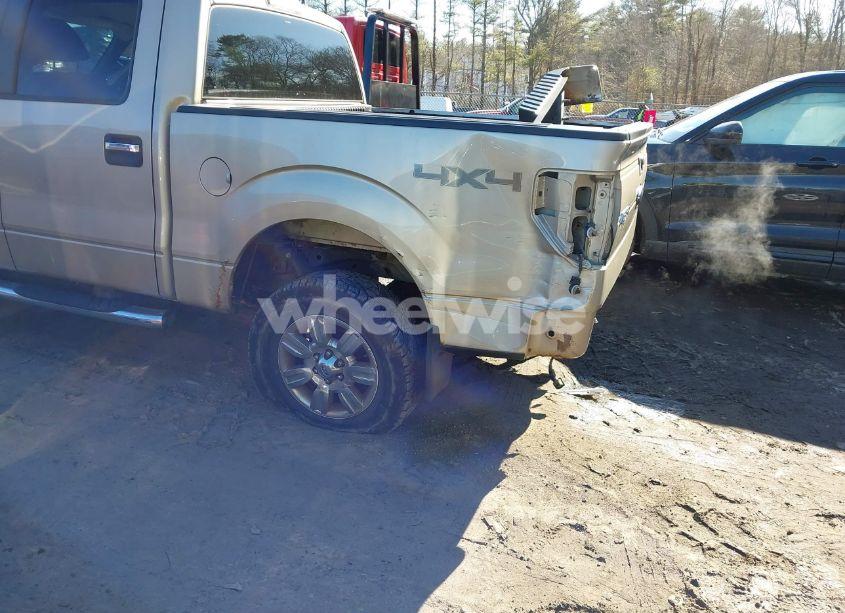 Photo 6 of 2009 Ford F-150 XL/XLT (VIN 1FTRW14819FB36787)