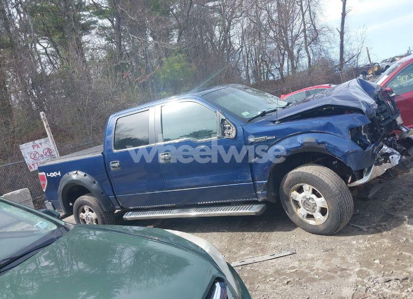 Photo 13 of 2009 Ford F-150 XL/XLT (VIN 1FTRW14869FA09842)