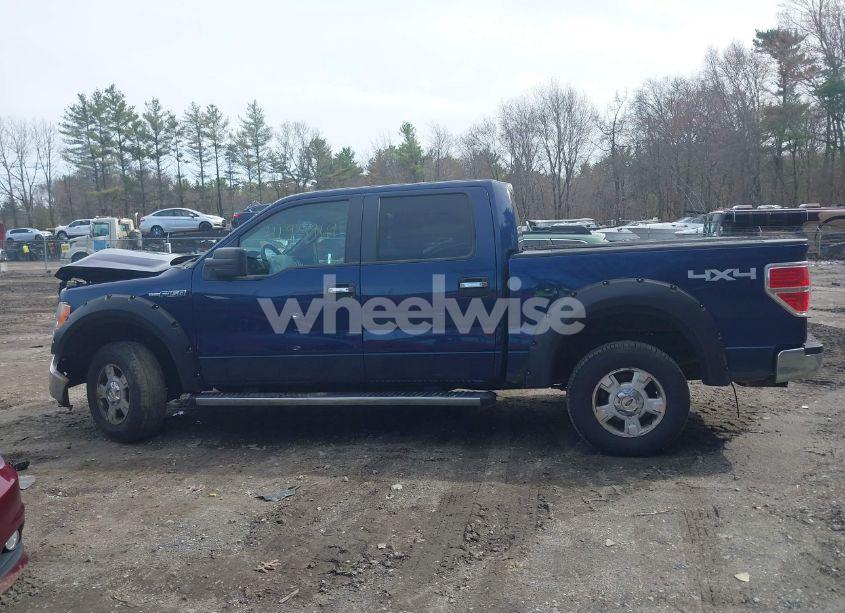Photo 14 of 2009 Ford F-150 XL/XLT (VIN 1FTRW14869FA09842)