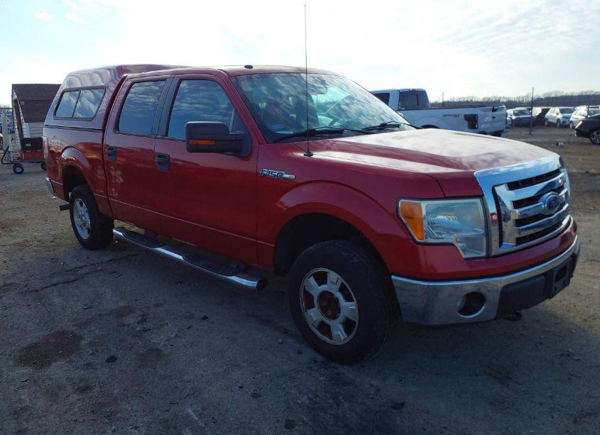 2009 Ford F-150 XL/XLT (VIN 1FTRW14869KC63560) main photo