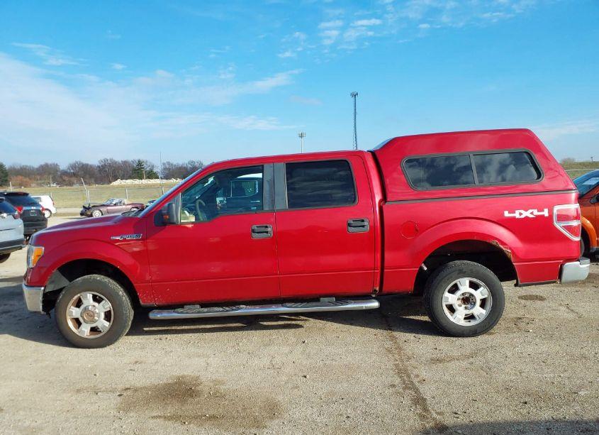 Photo 14 of 2009 Ford F-150 XL/XLT (VIN 1FTRW14869KC63560)