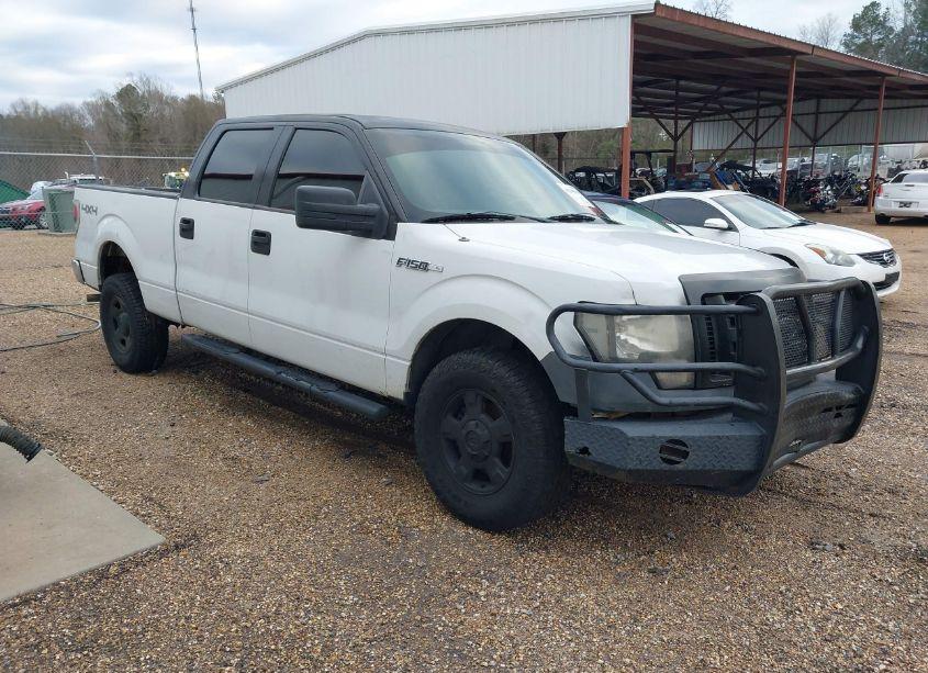 2009 Ford F-150 XL/XLT (VIN 1FTRW14889FA27002) main photo