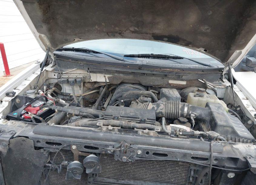 Photo 10 of 2009 Ford F-150 XL/XLT (VIN 1FTRW14889FA27002)