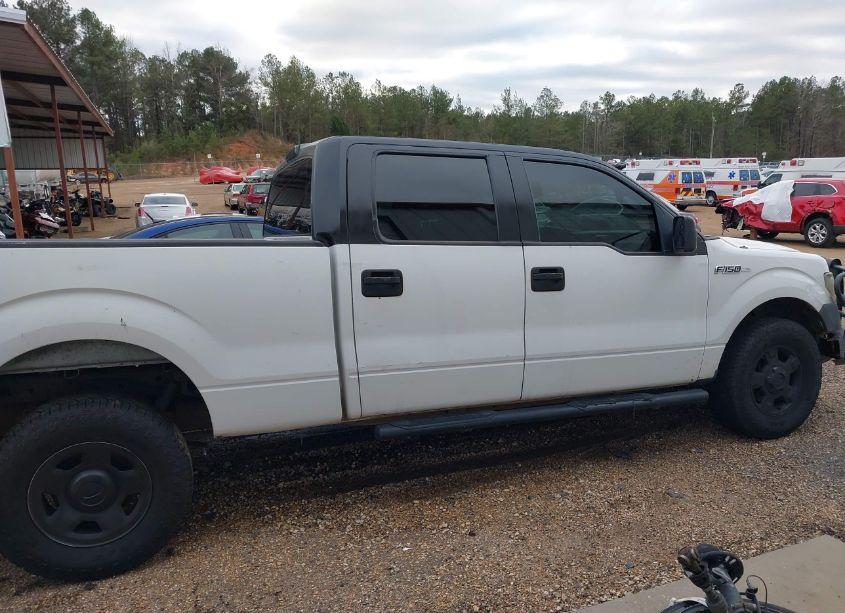 Photo 13 of 2009 Ford F-150 XL/XLT (VIN 1FTRW14889FA27002)