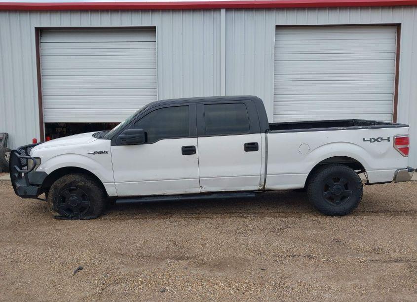 Photo 14 of 2009 Ford F-150 XL/XLT (VIN 1FTRW14889FA27002)