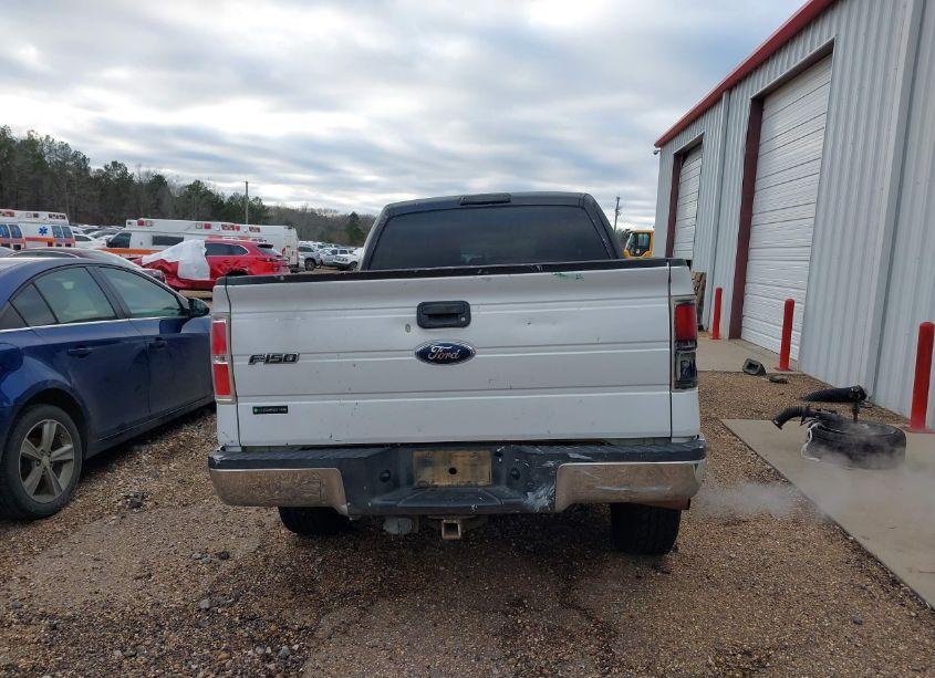 Photo 16 of 2009 Ford F-150 XL/XLT (VIN 1FTRW14889FA27002)