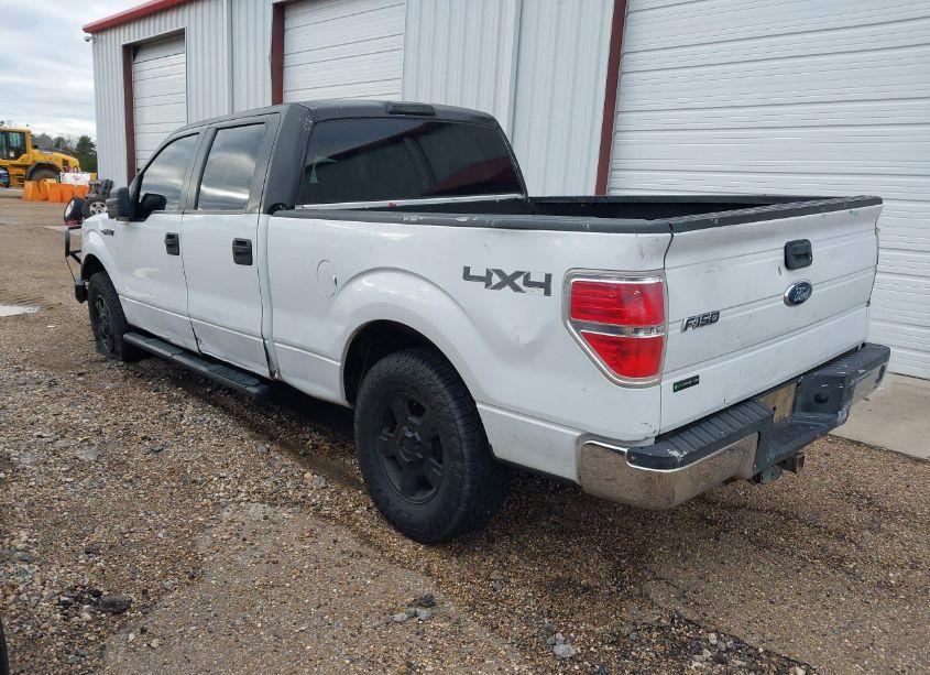 Photo 3 of 2009 Ford F-150 XL/XLT (VIN 1FTRW14889FA27002)