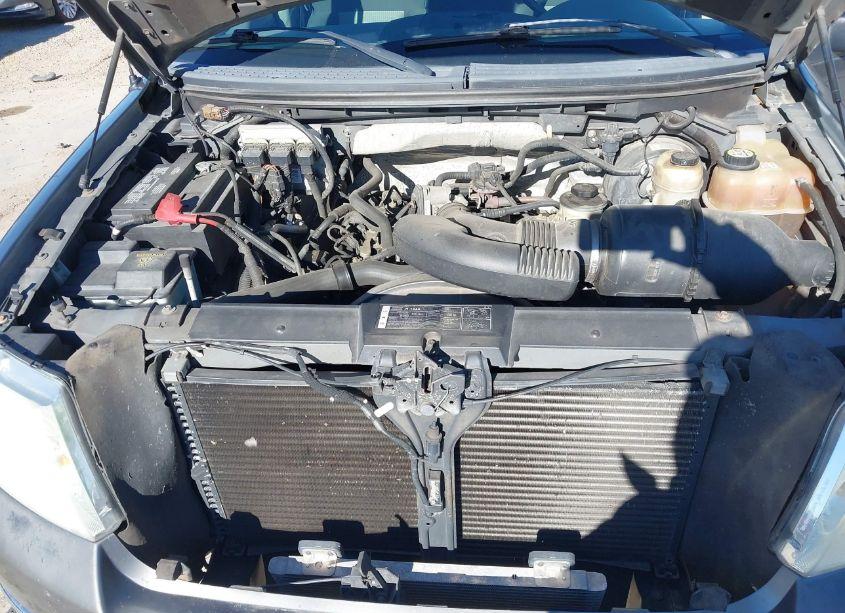 Photo 10 of 2008 Ford F-150 60TH ANNIVERSARY/XL/XLT (VIN 1FTRW14W28FA30751)