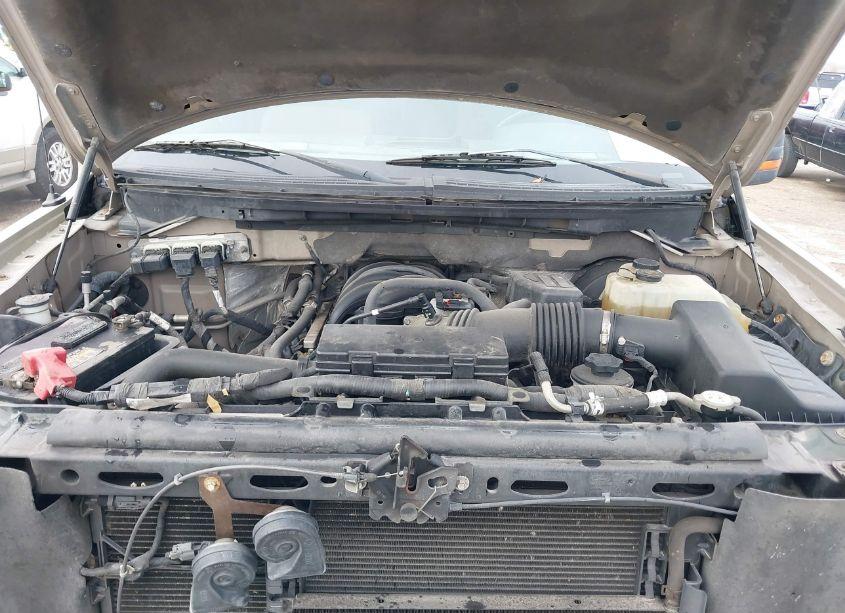 Photo 10 of 2009 Ford F-150 STX/XL/XLT (VIN 1FTRX12809KC77695)