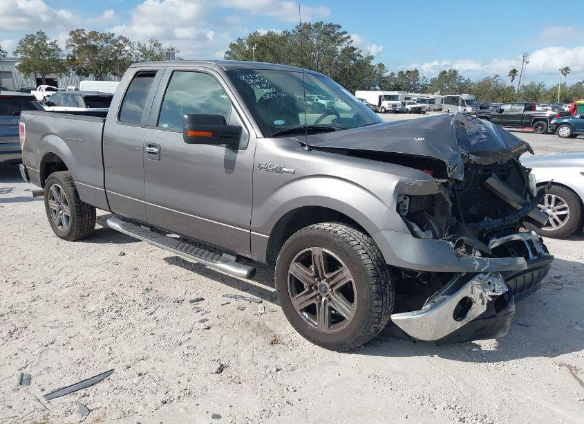 2009 Ford F-150 STX/XL/XLT (VIN 1FTRX12839KB24390) main photo