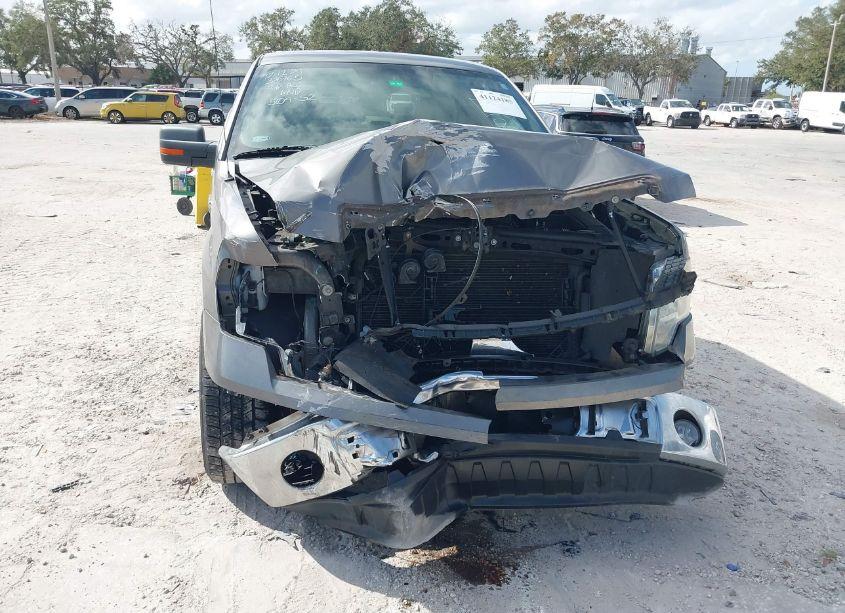 Photo 6 of 2009 Ford F-150 STX/XL/XLT (VIN 1FTRX12839KB24390)