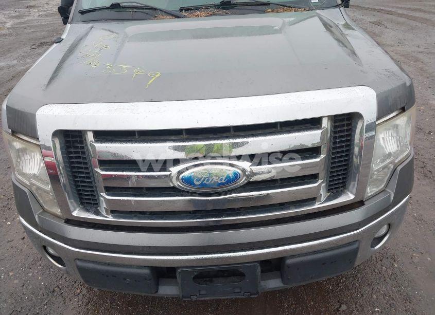 Photo 10 of 2009 Ford F-150 STX/XL/XLT (VIN 1FTRX12859FA95094)