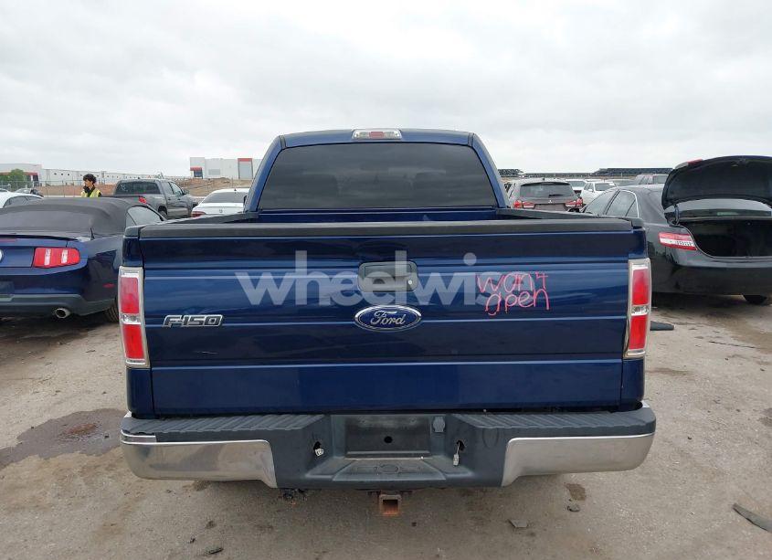 Photo 16 of 2009 Ford F-150 STX/XL/XLT (VIN 1FTRX12889FA97356)