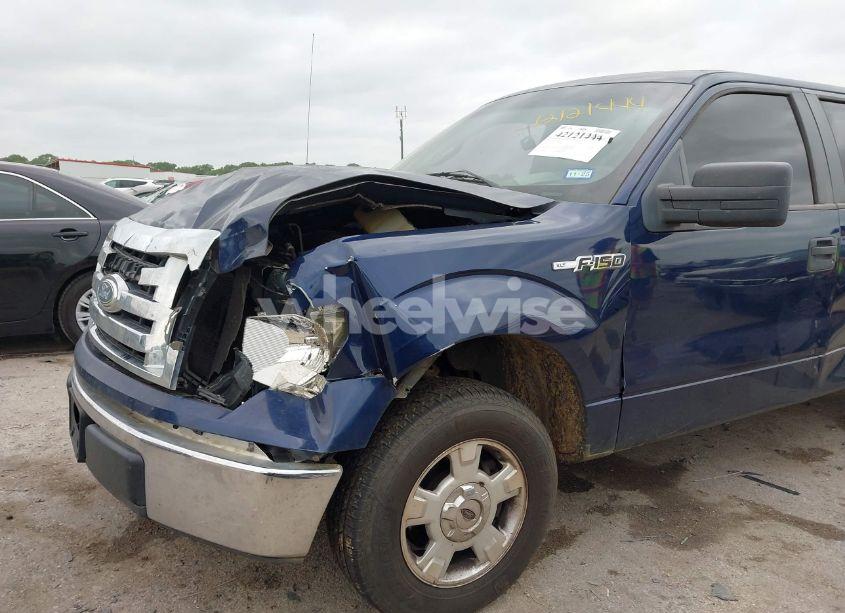 Photo 6 of 2009 Ford F-150 STX/XL/XLT (VIN 1FTRX12889FA97356)