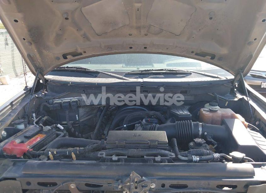 Photo 10 of 2009 Ford F-150 STX/XL/XLT (VIN 1FTRX12899KB83377)