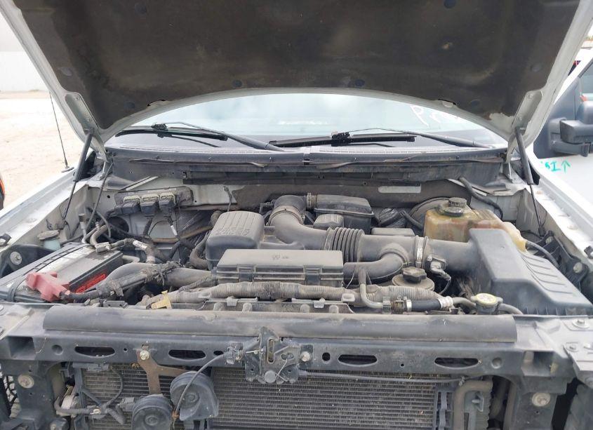 Photo 10 of 2009 Ford F-150 LARIAT/XL/XLT (VIN 1FTRX12V69KB43618)