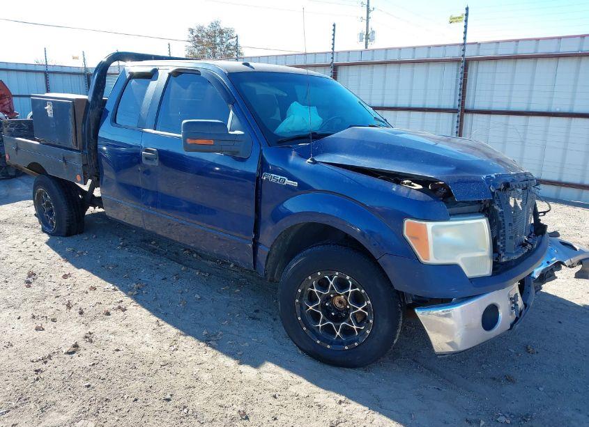 2009 Ford F-150 XLT (VIN 1FTRX12V79KB58287) main photo