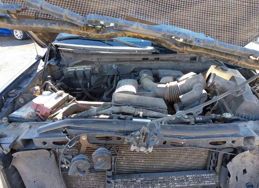 Photo 10 of 2009 Ford F-150 XLT (VIN 1FTRX12V79KB58287)