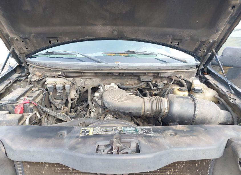 Photo 10 of 2004 Ford F-150 STX/XL/XLT (VIN 1FTRX12W04NA10238)