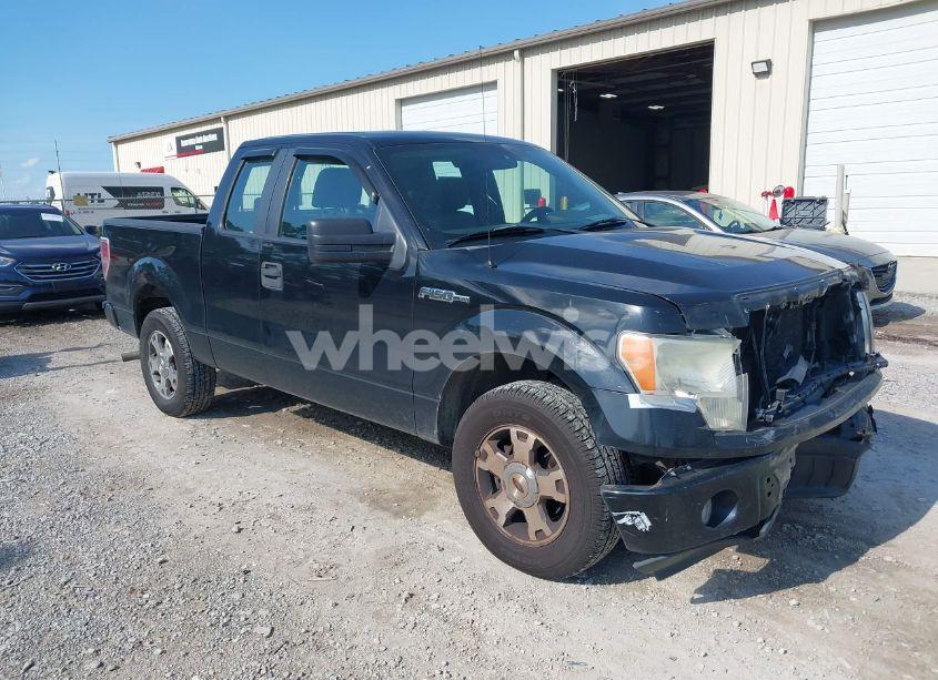 2009 Ford F-150 STX/XL (VIN 1FTRX12W19FA20343) main photo