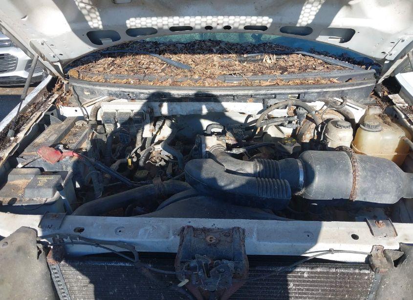 Photo 10 of 2007 Ford F-150 STX/XL/XLT (VIN 1FTRX12W37FA49047)