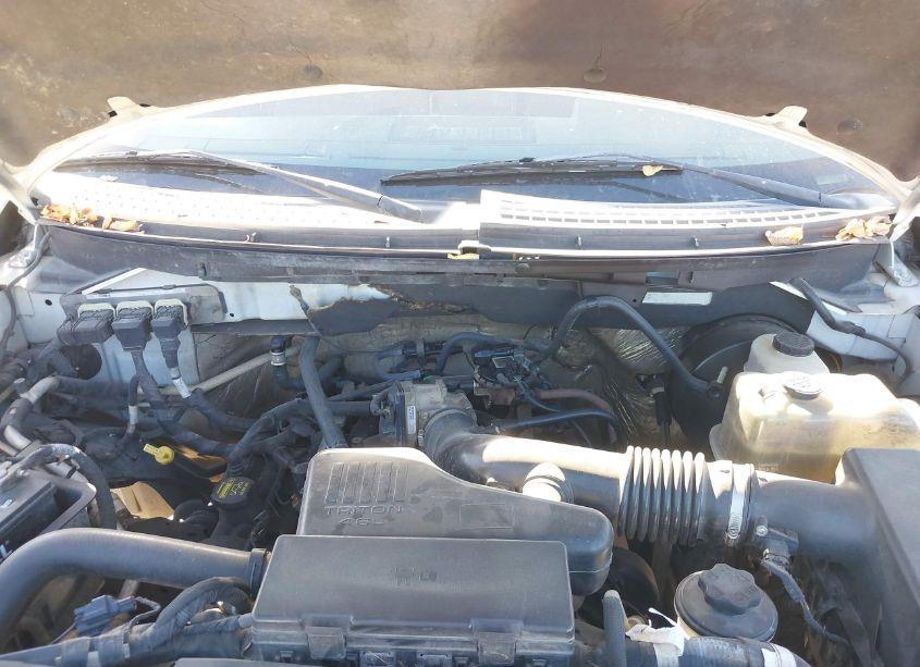 Photo 10 of 2009 Ford F-150 STX/XL (VIN 1FTRX12W39KA40004)