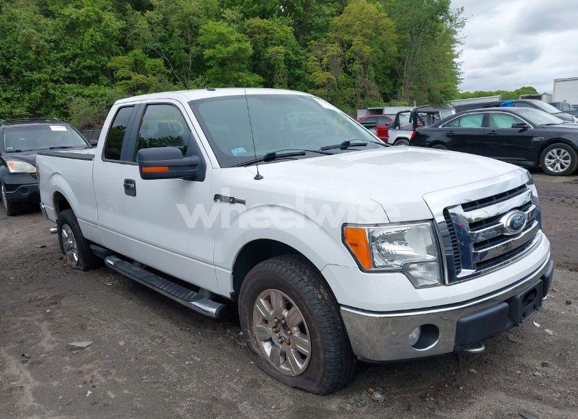 2009 Ford F-150 STX/XL/XLT (VIN 1FTRX14819FA79682) main photo