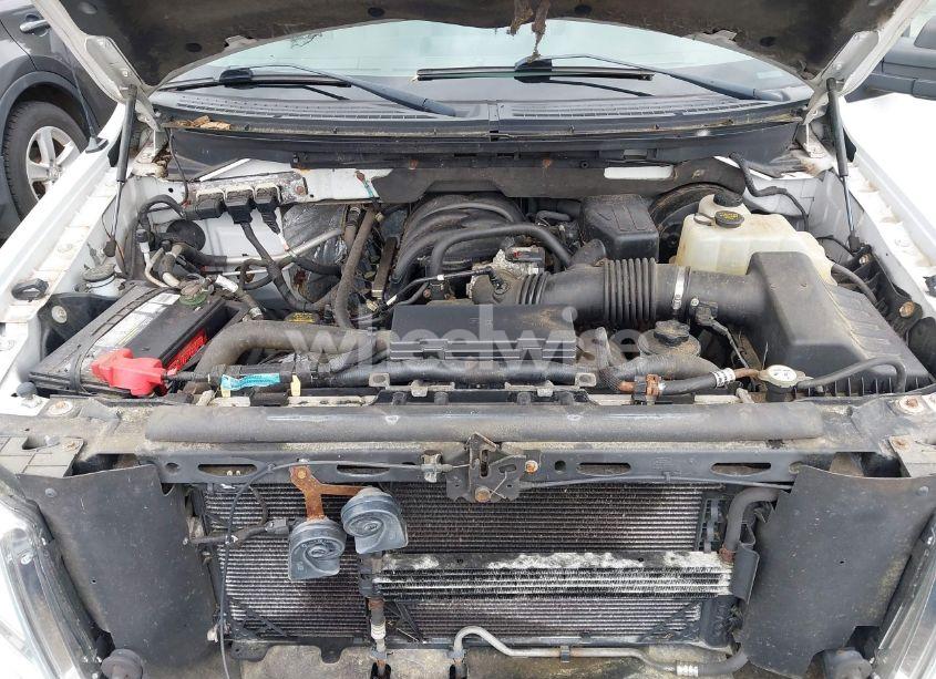 Photo 10 of 2009 Ford F-150 STX/XL/XLT (VIN 1FTRX14819FA79682)