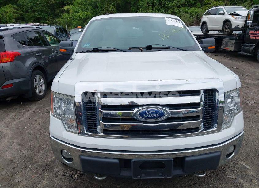 Photo 6 of 2009 Ford F-150 STX/XL/XLT (VIN 1FTRX14819FA79682)