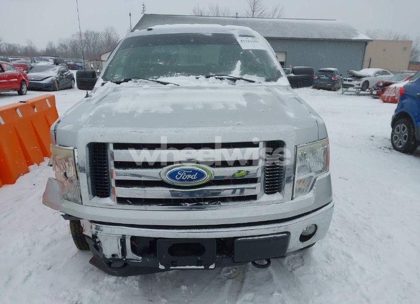 Photo 12 of 2009 Ford F-150 STX/XL/XLT (VIN 1FTRX14829FA71591)
