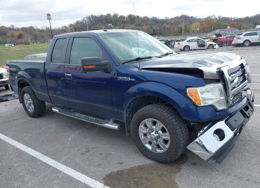 2009 Ford F-150 XLT (VIN 1FTRX14829KB33871) main photo