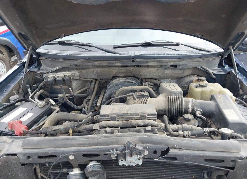 Photo 10 of 2009 Ford F-150 XLT (VIN 1FTRX14829KB33871)